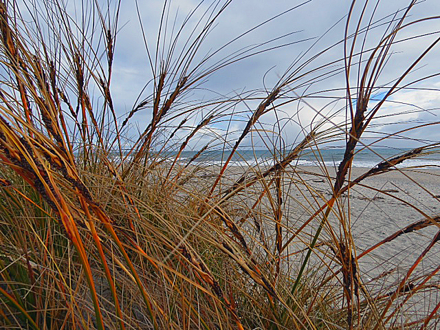 Beautiful and Wild Tasman Sea