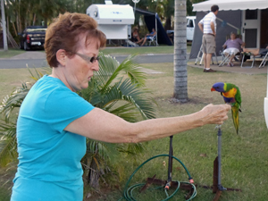 Day 35-Rockhampton and Birds, Birds, Birds